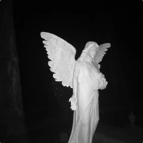 avatar-002a4f8c-ec34-484e-b794-8f8e9c019388.jpg
