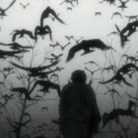 avatar-033cd7cb-b02e-42db-9030-a5492cf6f1b1.jpg