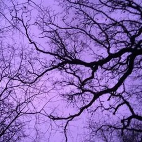 avatar-0a5dc1f7-0566-4438-a528-6c307100e4e5.jpg