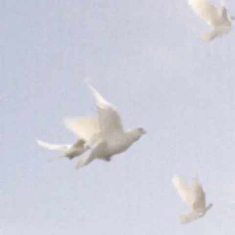 avatar-1110360f-4953-482d-97b2-ca57a99f6b3b.jpg