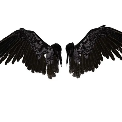avatar-11706ba4-32dd-4a4e-a335-f38c9f7731dd.jpg