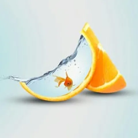 avatar-1935648e-3f1f-4567-9461-fc7658b6209f.jpg