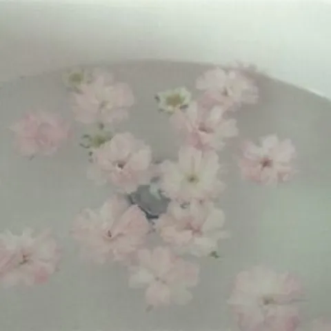 avatar-1a077c01-d3fb-4861-8076-9647b97f4f09.jpg