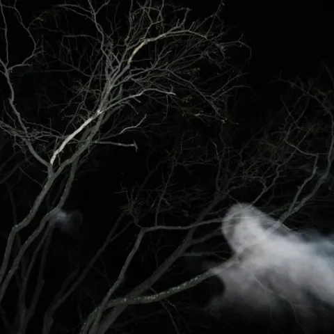 avatar-1a99b8f6-f363-47e6-aac5-8c36047f9662.jpg