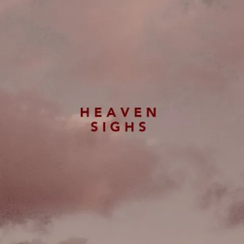avatar-1b02d372-9f0a-4aac-b0e8-34dc6a570208.jpg