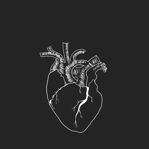 avatar-2c94413b-23c0-450b-a8a5-a142a99d8587.jpg