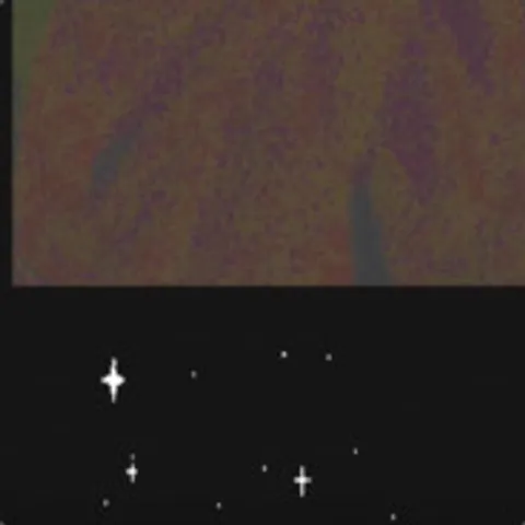 avatar-2cda9334-60aa-4afc-a184-2ca92d53c9f2.jpg