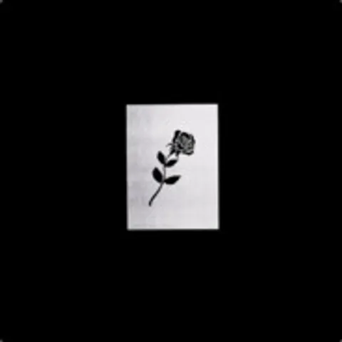 avatar-349222e0-052e-4fe1-9002-70cf35f8a1b4.jpg