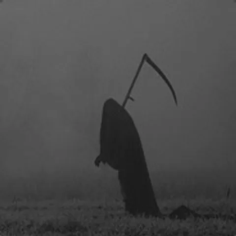 avatar-35ef9ba5-13d9-41ea-9850-1e26790c86f3.jpg