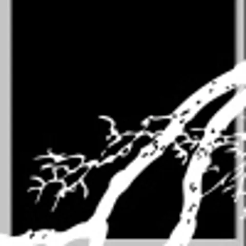 avatar-3be730e2-5abd-43c7-abf2-74c5af58d955.jpg