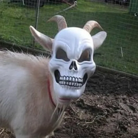 avatar-3cd394bb-1cf2-4d8a-abbe-f18b828175bb.jpg
