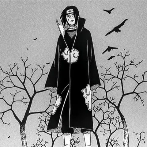 avatar-3e4ea742-e7e8-411a-ab2e-8a691df5c4e7.jpg