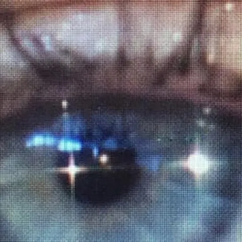 avatar-441fc063-6950-4f8c-aa0e-c0808c52c612.jpg