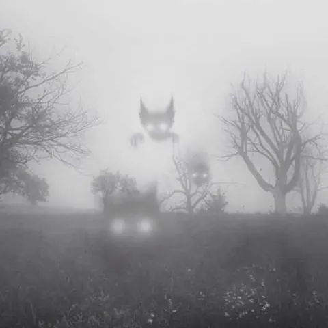 avatar-477fec54-000e-42e1-90f9-025fefc53dd0.jpg