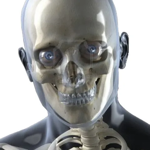 avatar-4e649f5b-6769-4906-8eeb-d2f58024ee1b.jpg