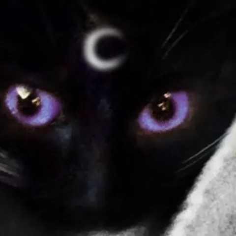 avatar-52919fea-13b6-41c2-8270-4d10b77febe6.jpg