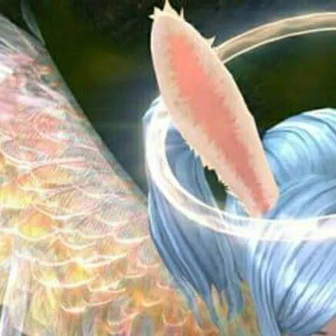 avatar-53a855ff-59cd-4d80-8c12-139729280a64.jpg