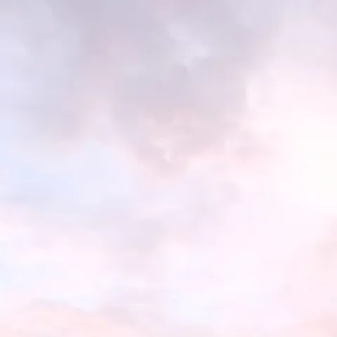 avatar-61a7a5cc-6b91-4fcd-8771-20e540eb9519.jpg