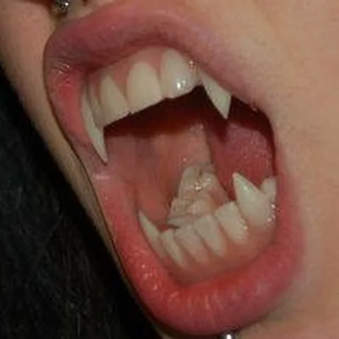 avatar-6726c023-241e-46ce-bd21-d193cadaa7d4.jpg