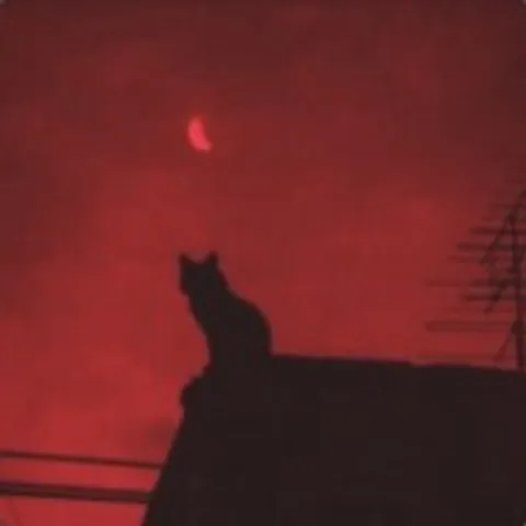 avatar-674d3785-136f-4f3d-8d73-a1f723383a67.jpg