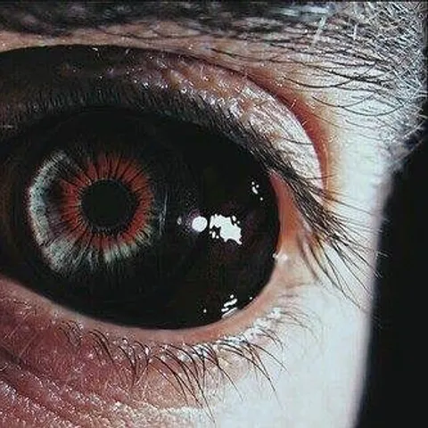 avatar-715b4c8a-fa29-4f25-b13b-a53e30e3dba0.jpg