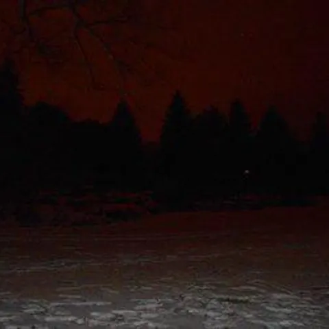 avatar-72356e91-2e5a-465b-ae81-d2c4408b22cd.jpg