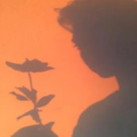 avatar-77100702-f10c-4436-a191-e82f3d6bf619.jpg