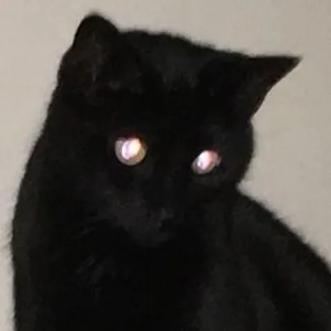 avatar-7d766e5f-b99c-461f-bf3d-48fd7df38ff1.jpg