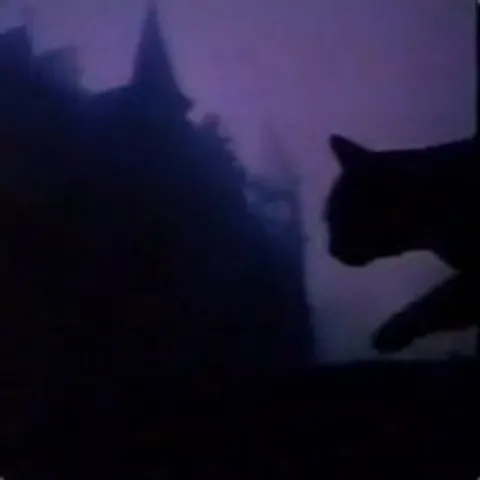 avatar-80a0e8ea-1ec6-411d-8b9a-c1bf677abe19.jpg