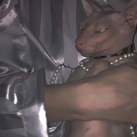 avatar-8fc3a41c-3a1b-4b5a-a5b3-b541009a7e0a.jpg
