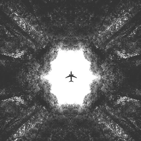 avatar-9098cc36-3cb2-49d4-a725-e0cf514692bd.jpg