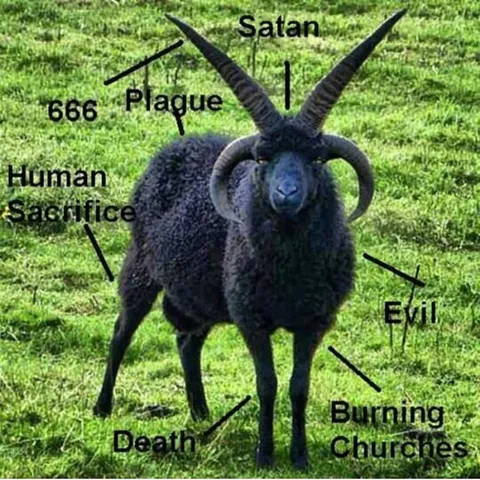 avatar-91df1ea8-fb4d-4575-b606-c7958d0df685.jpg
