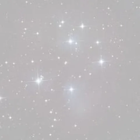 avatar-921b0157-2cf4-4797-a78d-7e4e360d86bc.jpg