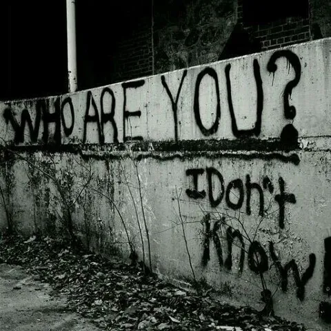 avatar-94fa428c-eab8-436d-b034-c4334a8a8f37.jpg