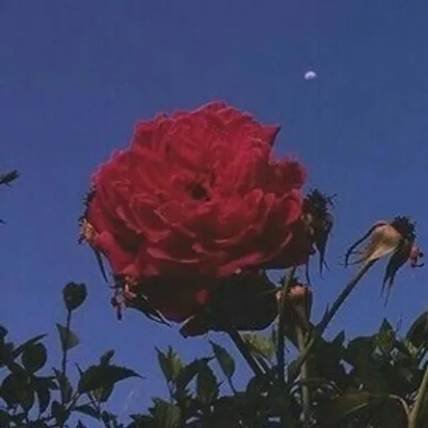 avatar-96346ca1-2f3e-42e1-a309-4d342cc727d4.jpg