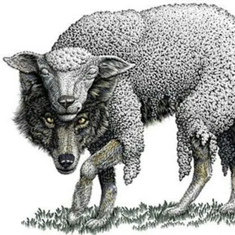 avatar-9b7f0dfe-9cd7-4d1a-bb10-74f9f58e9d6d.jpg