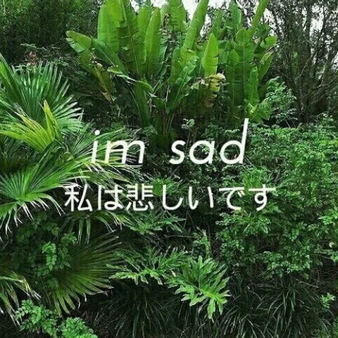 avatar-9c68c9c3-8c83-4e29-8e24-f68bb4cc827f.jpg