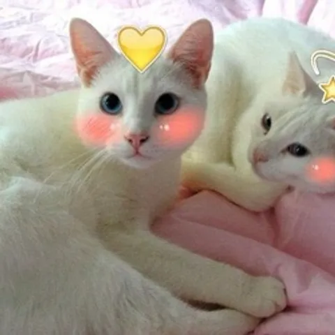 avatar-a8a45848-3baa-4a9c-9867-d7d9e7a461fb.jpg