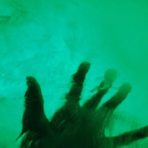 avatar-ab716595-9b2a-4b3d-9620-f392af66e8df.jpg