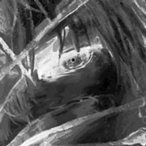 avatar-b1a0e8b4-85c2-4a3d-8589-241f01df527f.jpg