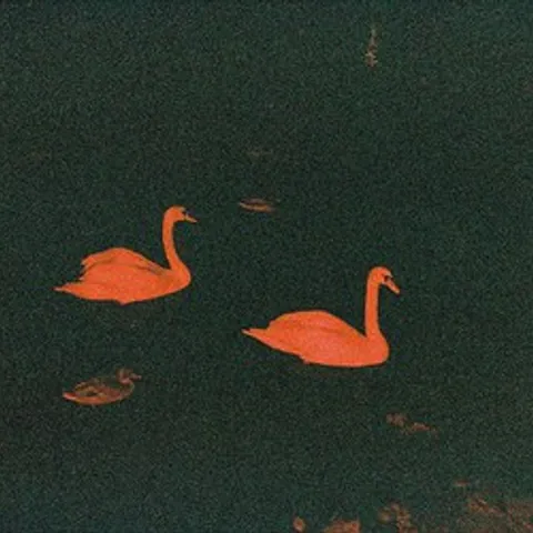 avatar-b470d396-b85e-400b-a3ec-77fc47d34b3a.jpg