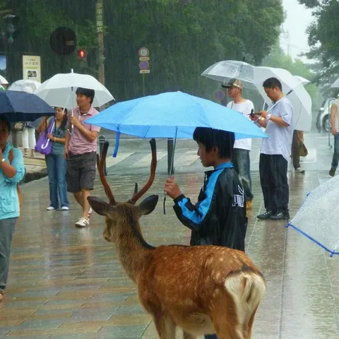 avatar-b58ecdba-fe43-49c7-8ded-02f18bc3bcc5.jpg