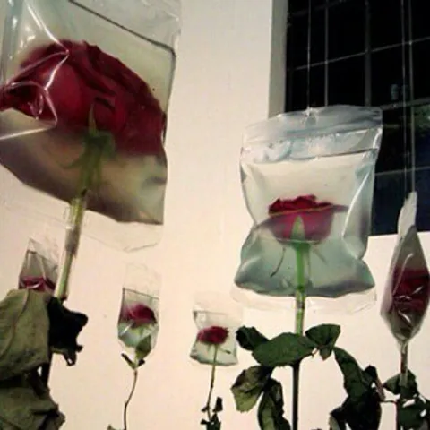 avatar-b5ea20b1-7b1e-429e-910f-03f4504c8a73.jpg