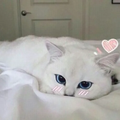 avatar-b66a1d41-d423-47ce-9359-c7e47899bbdc.jpg