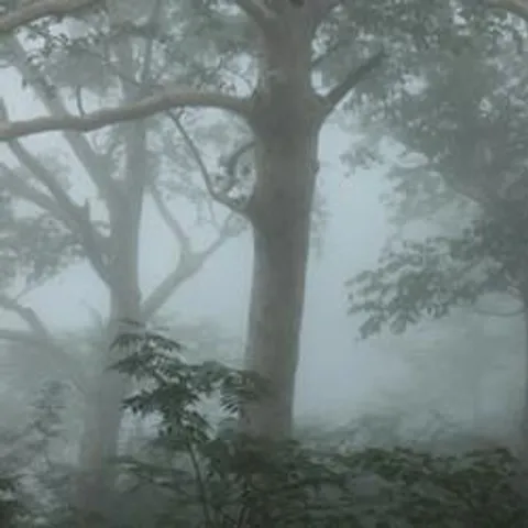 avatar-b806914b-80bd-4a6f-a4f0-fa9082e50379.jpg