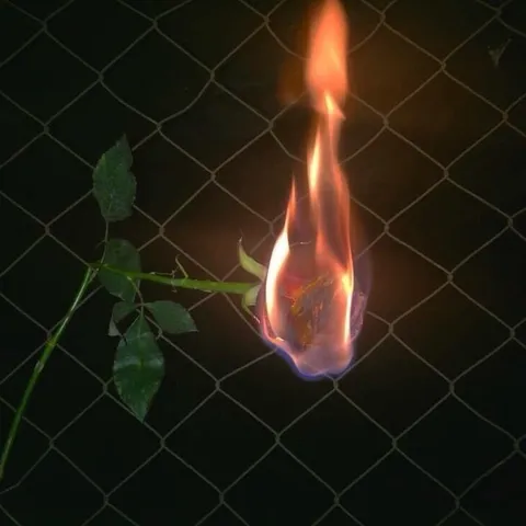 avatar-b866ec66-3796-47ad-8bdf-2526aa8d1a24.png