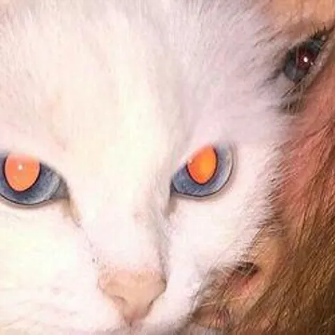 avatar-b9f6be2c-aa9c-4c7e-a660-664de61172bd.jpg
