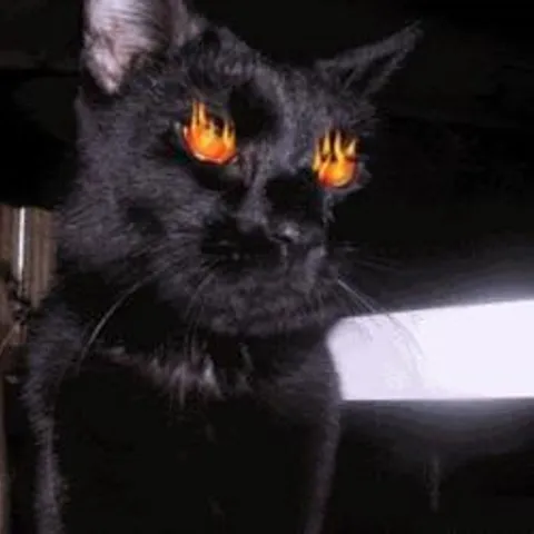 avatar-bc79d20b-4f35-4444-833b-26bf434390a0.jpg