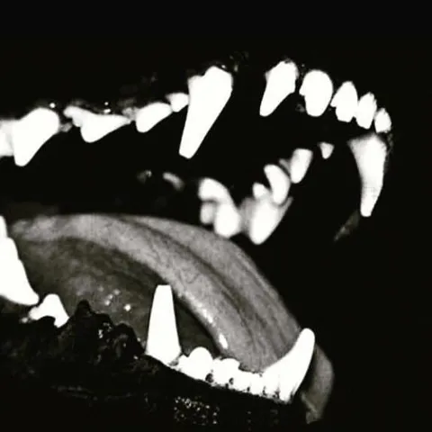 avatar-bd366853-5005-48e2-bb98-c04b54664b05.jpg