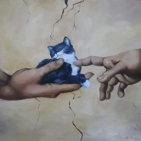 avatar-bf004f82-9315-42f7-aeff-839a10c7761c.jpg